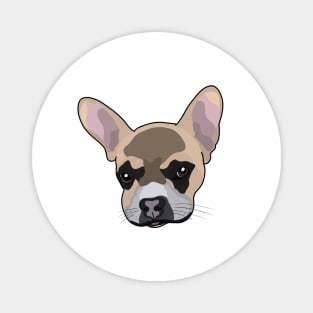 Frenchie Magnet